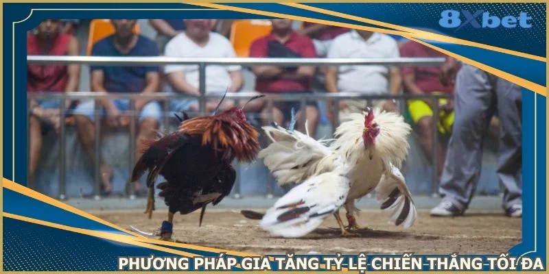 phuong-phap-gia-tang-ty-le-chien-thang-toi-da
